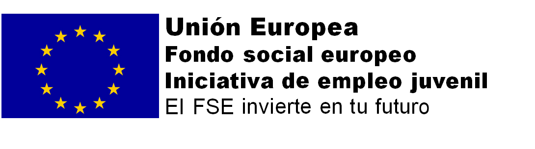 FSE IEJ