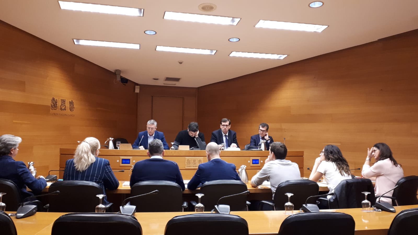 Comparecencia conseller