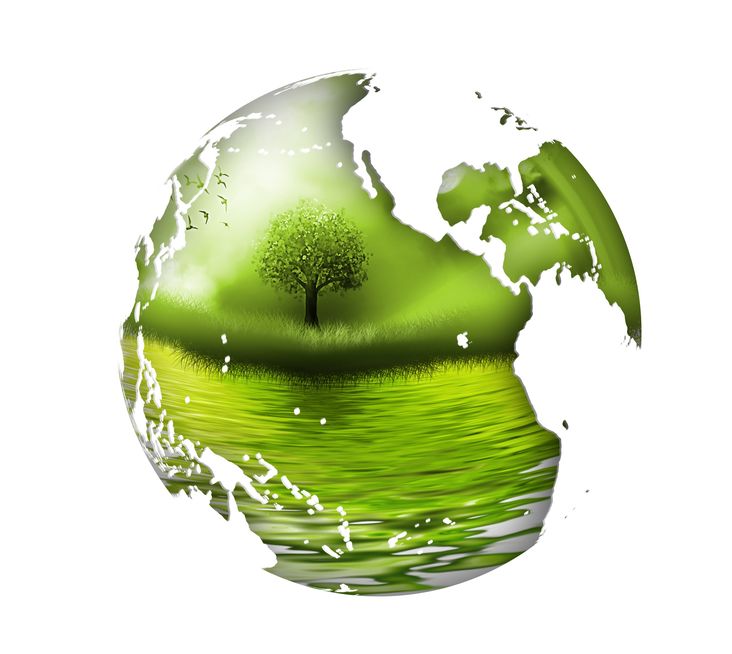 Foto Nota Laura ayudas