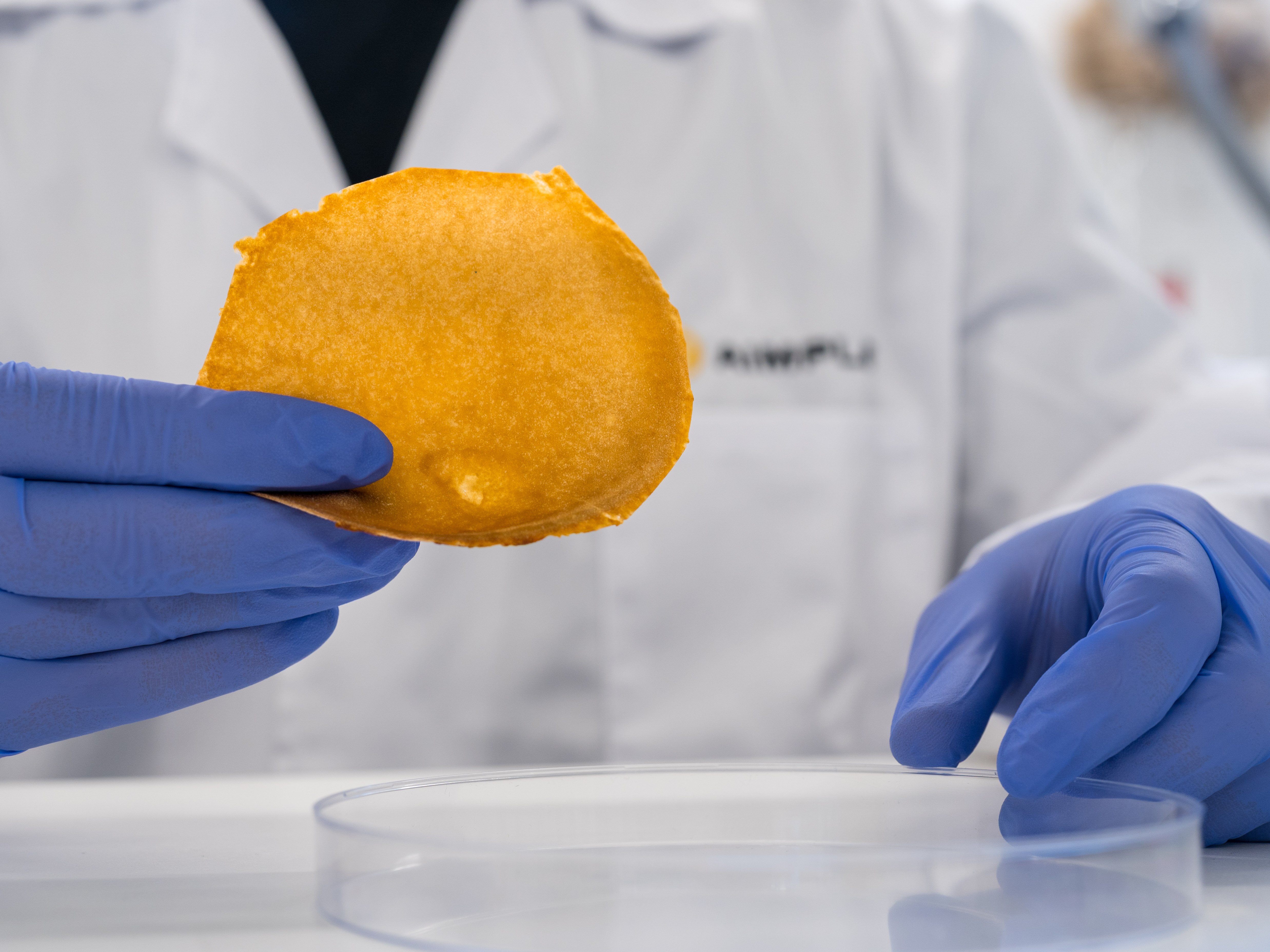 FOTO IND Proyecto VEGANCELIO